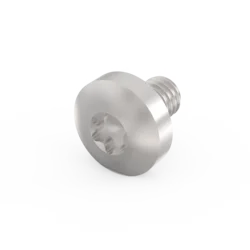 Panhead Screw, Torx 20, M4 x 6 mm, Steel Zinc Plated; 100 pieces
