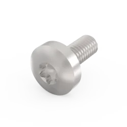 Panhead Screw, Torx 20, GND Function, M4 x 10 mm, Steel Zinc Plated; 100 pieces