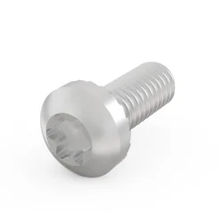 Panhead Screw, Torx 20, M4 x 10 mm, Steel Zinc Plated; 100 pieces