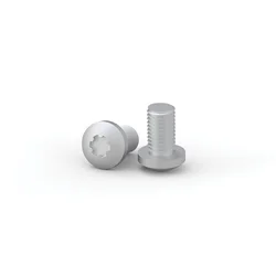 Screws For Clip-On Cage Nuts, CNS