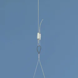 PH35432.jpg image