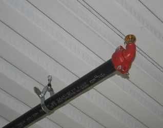 PH39486.jpg image