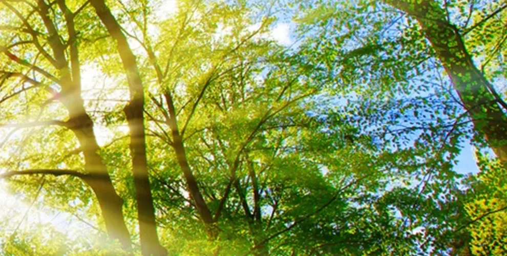 2024 Sustainability