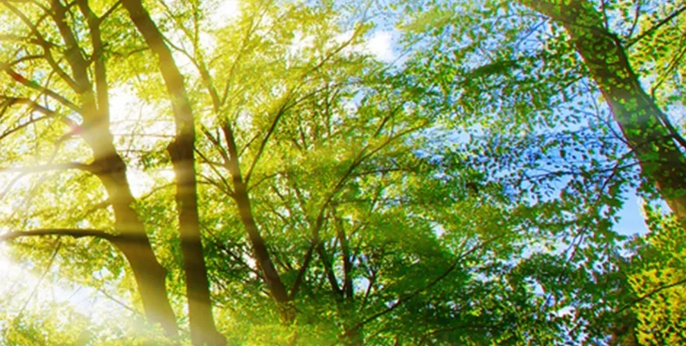 2024 Sustainability banner